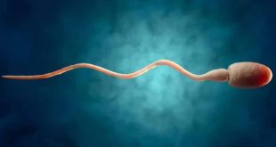 men's sperm । দূষণের কারণে কমে যাচ্ছে পুরুষদের শুক্রাণু