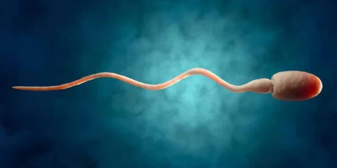 men's sperm । দূষণের কারণে কমে যাচ্ছে পুরুষদের শুক্রাণু