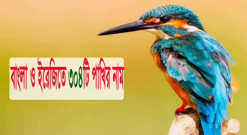 বাংলা ও ইরেজিতে 304টি পাখির নাম
