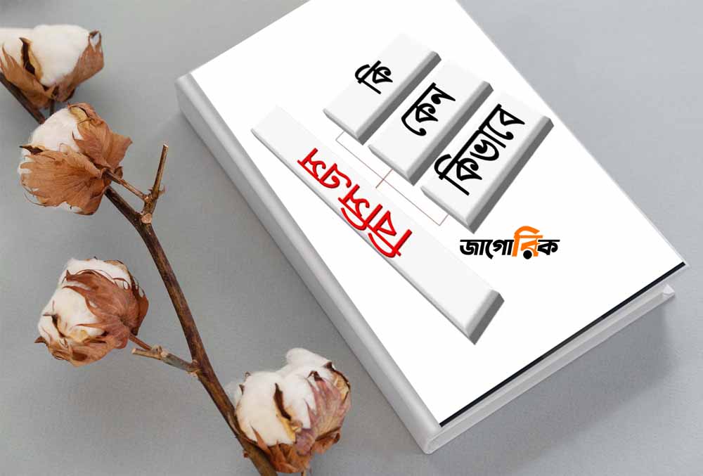বিসিএস ক্যাডার কি, কেন এবং কিভাবে প্রস্তুতি শুরু করবেন?